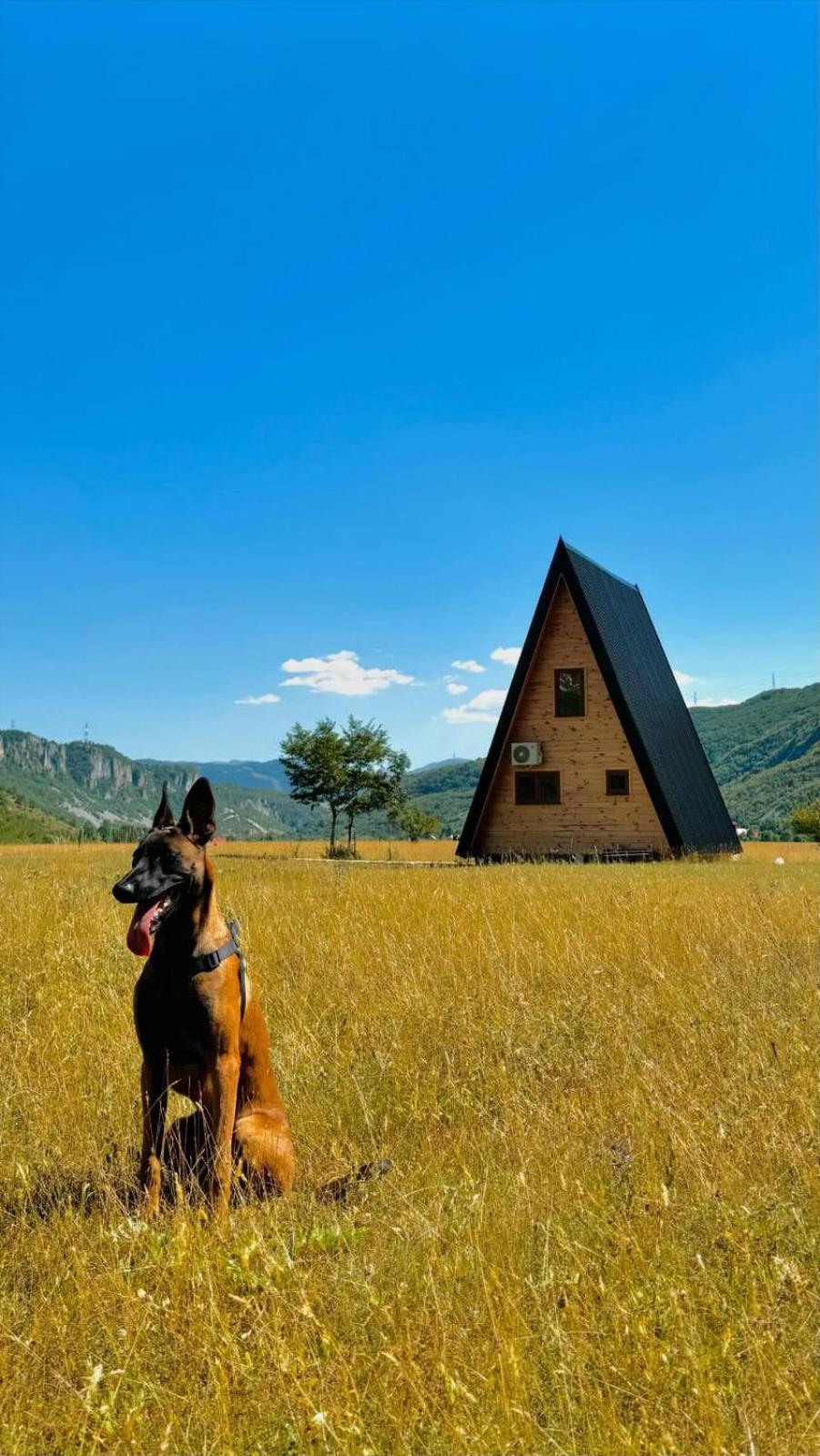 Silence House Villa Savnik Екстериор снимка